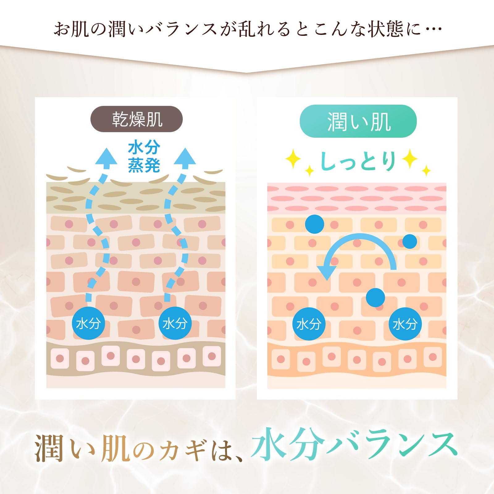 Amazon.co.jp: 【公式】akyrise（あきゅらいず）草根木皮たまり